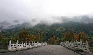 西岭雪山阴阳界海拔 西岭雪山风景区